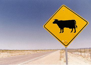 《猿公剑：白猿觉醒》新版本制作完成 动作系统完全重做